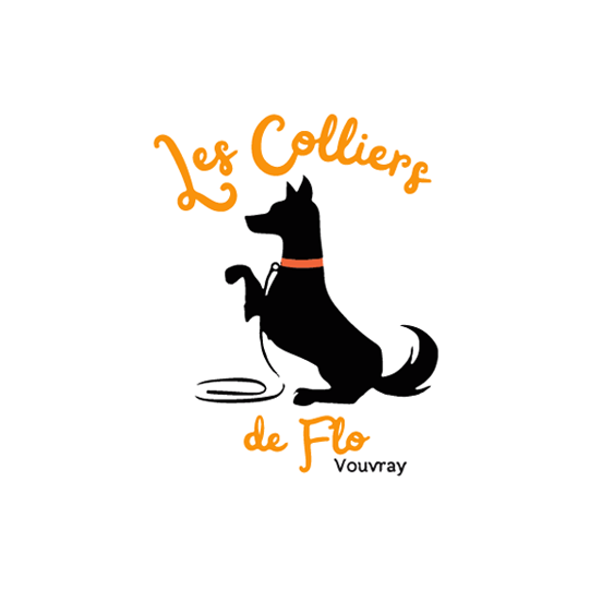 Logo LES COLLIERS DE FLO